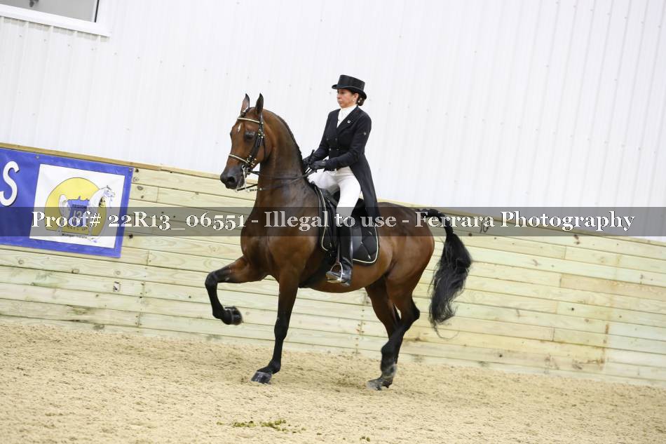 Proof 22R13_06551