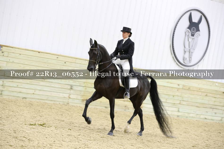 Proof 22R13_06552