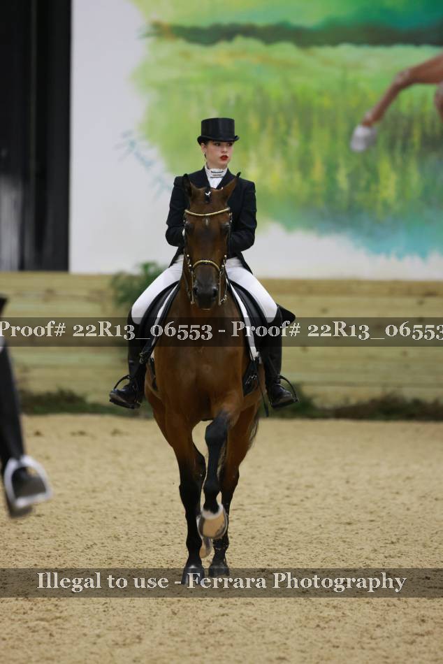 Proof 22R13_06553