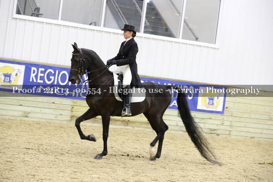 Proof 22R13_06554