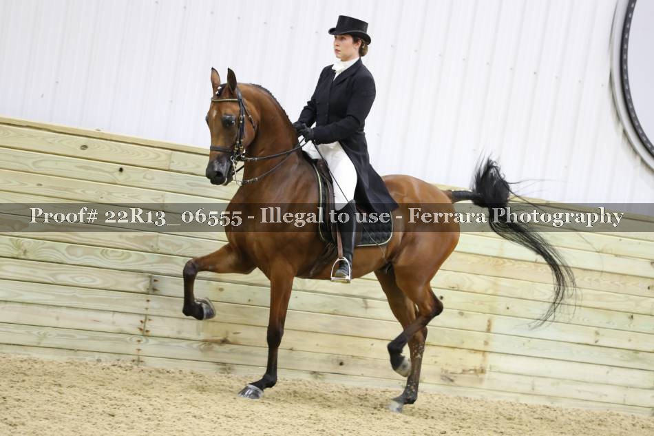 Proof 22R13_06555