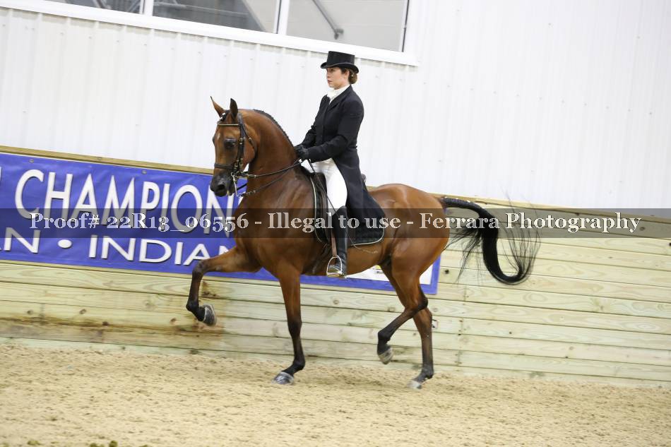 Proof 22R13_06556