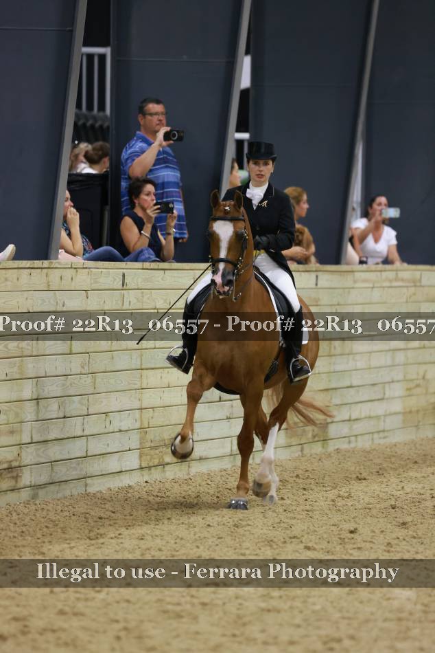 Proof 22R13_06557