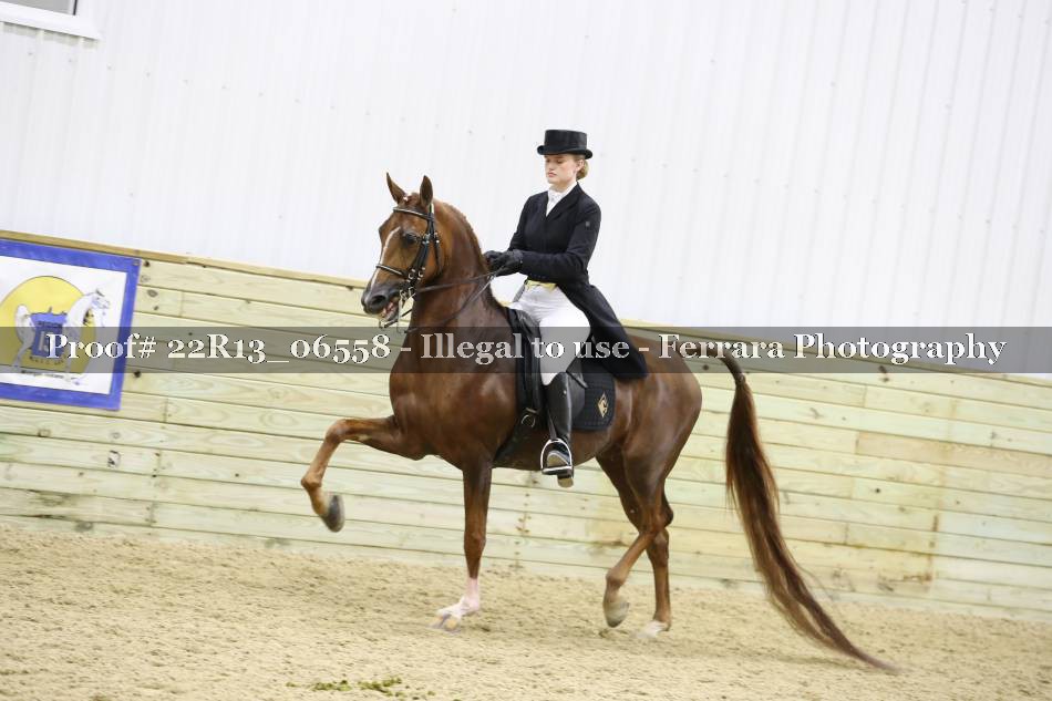 Proof 22R13_06558