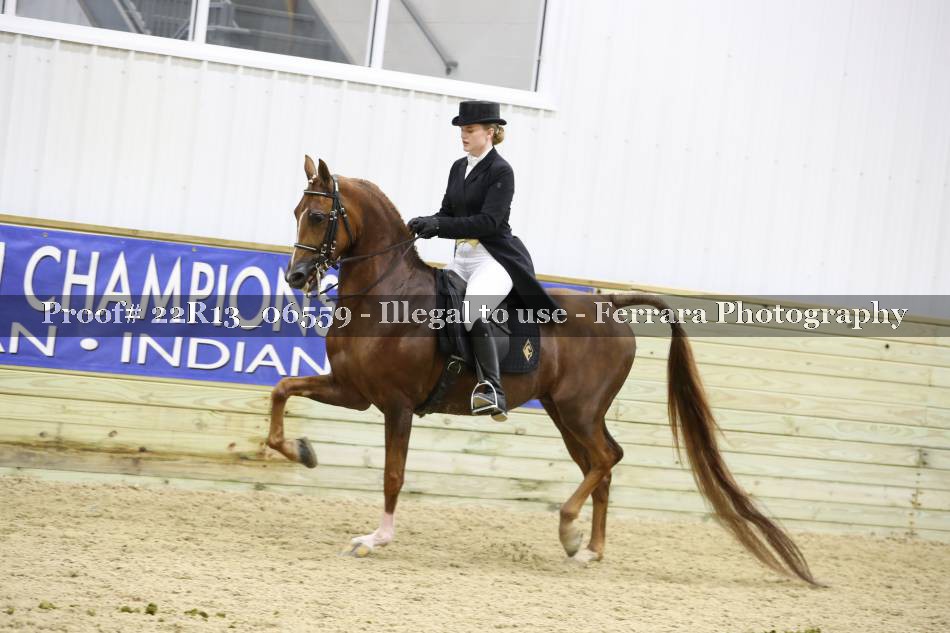 Proof 22R13_06559