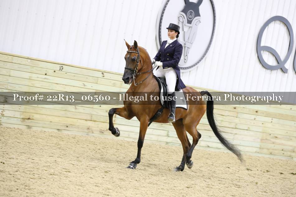 Proof 22R13_06560