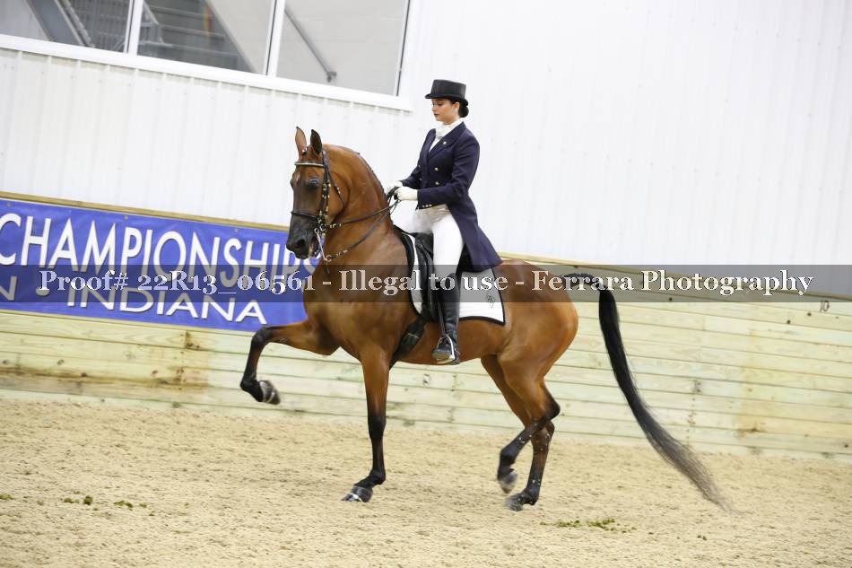 Proof 22R13_06561