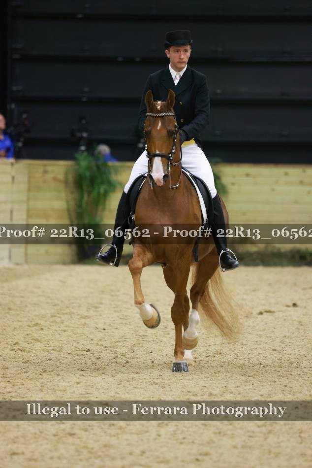 Proof 22R13_06562