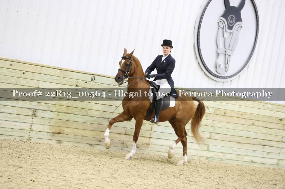 Proof 22R13_06564