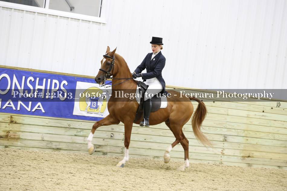 Proof 22R13_06565