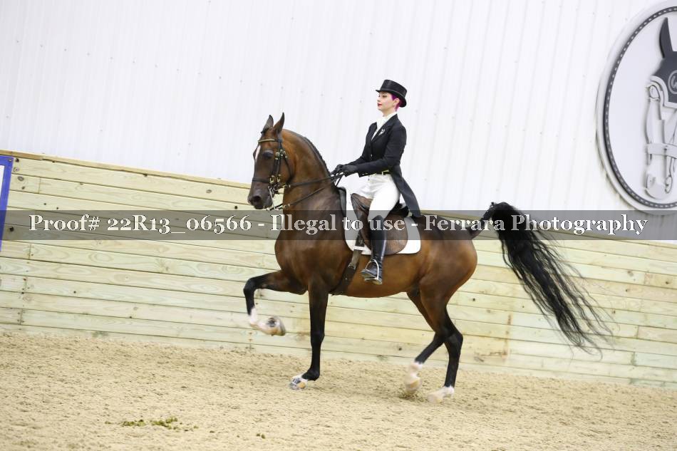 Proof 22R13_06566