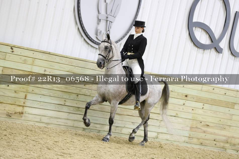 Proof 22R13_06568