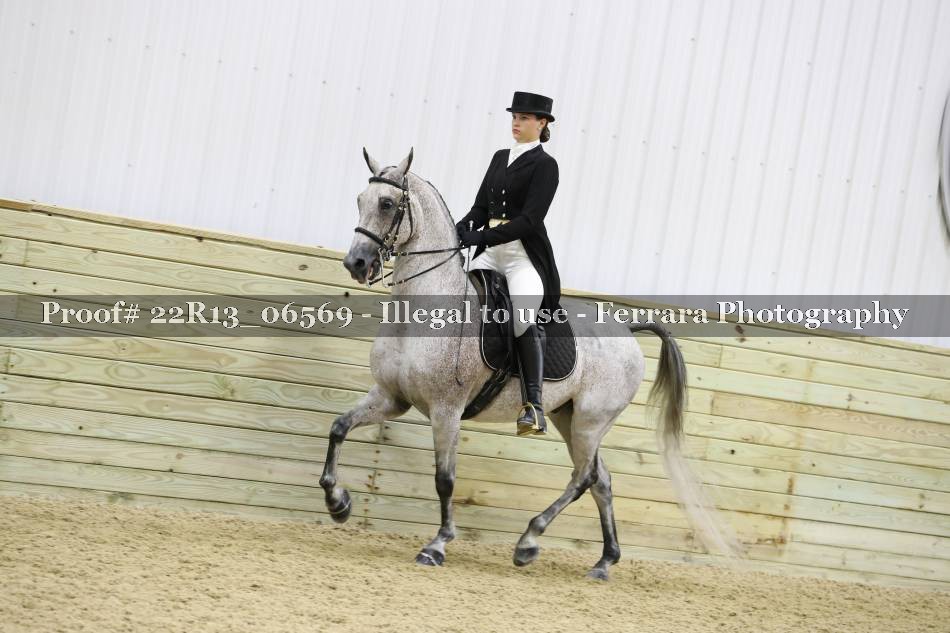 Proof 22R13_06569