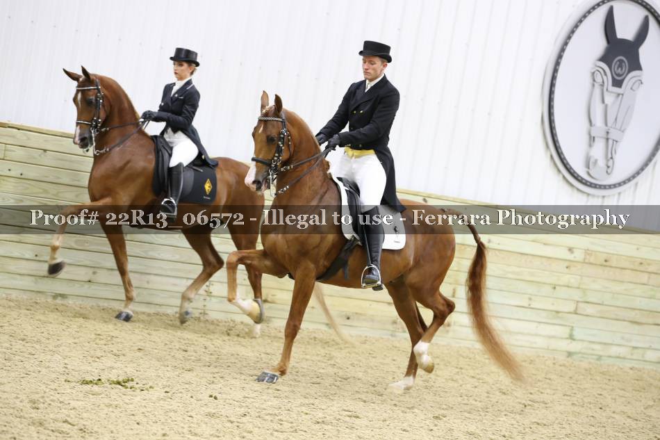Proof 22R13_06572