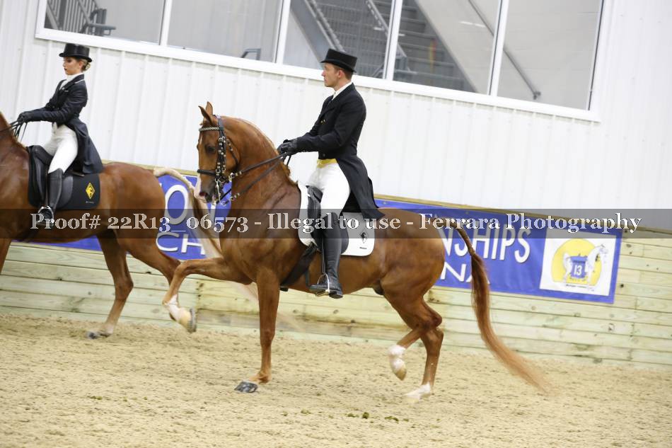Proof 22R13_06573