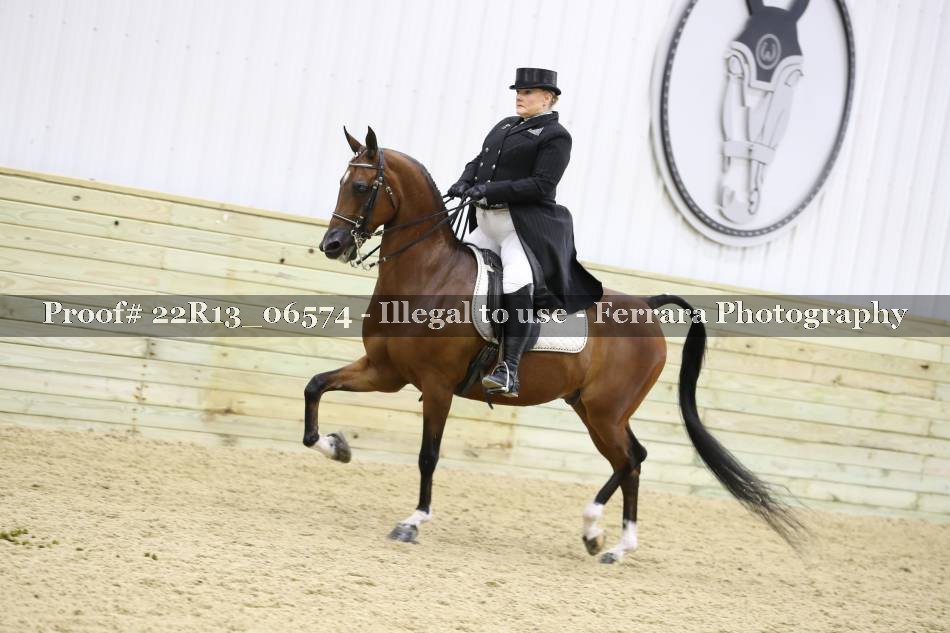 Proof 22R13_06574