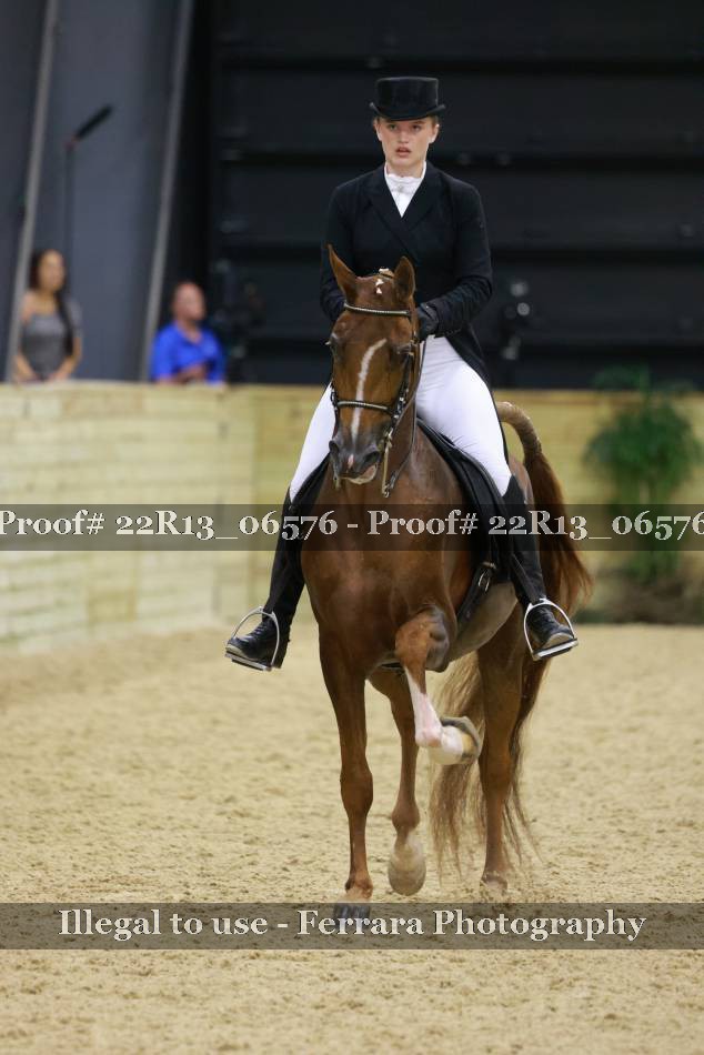 Proof 22R13_06576