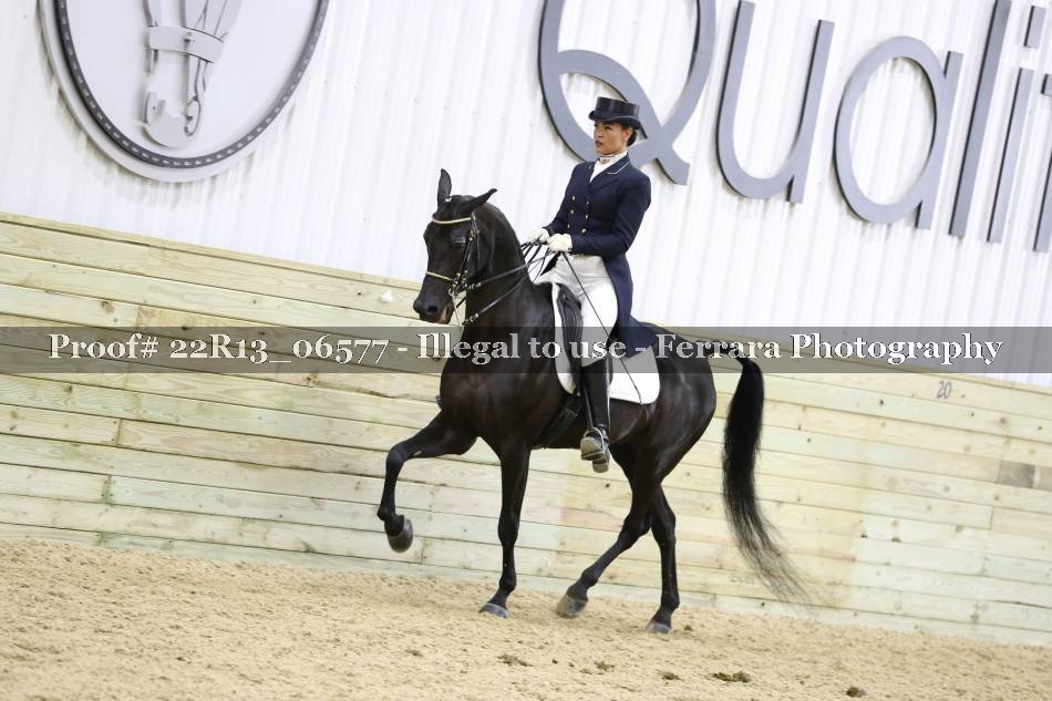 Proof 22R13_06577