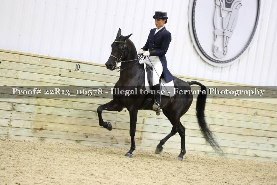 Proof 22R13_06578