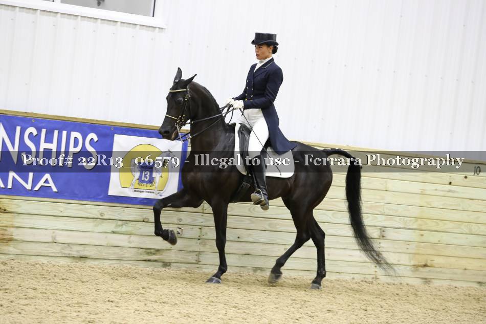 Proof 22R13_06579