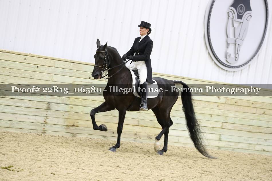 Proof 22R13_06580