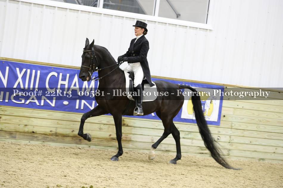 Proof 22R13_06581