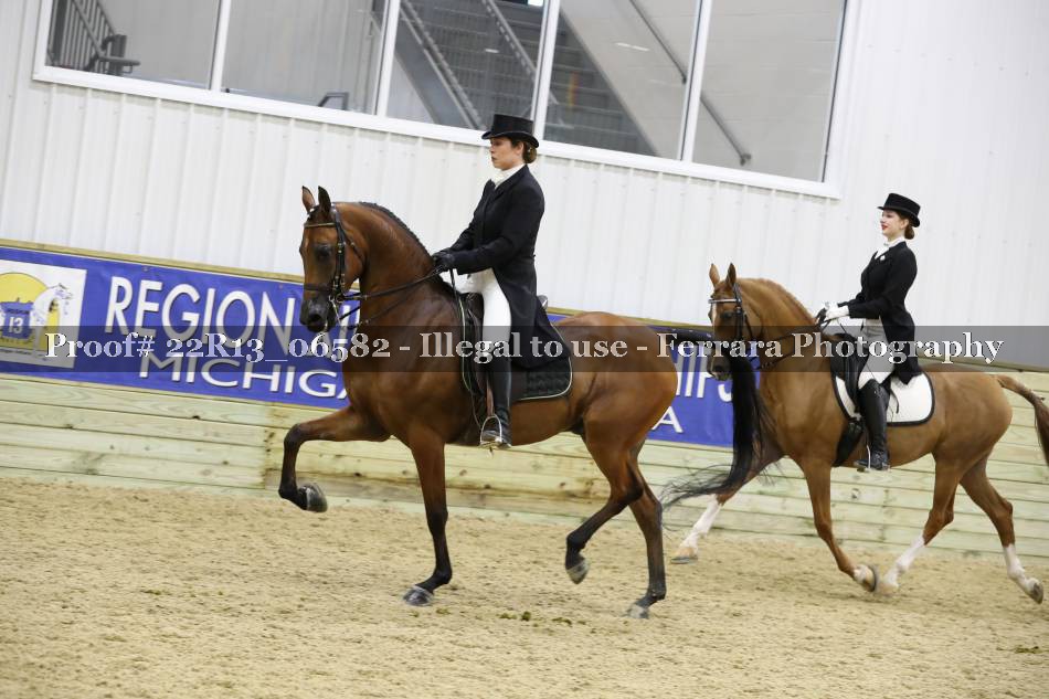 Proof 22R13_06582