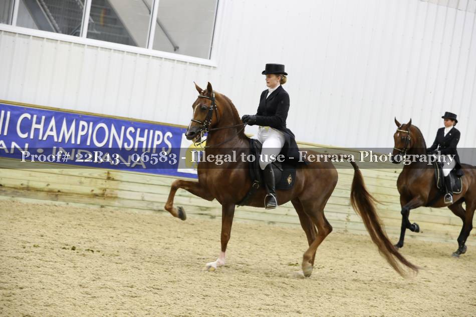 Proof 22R13_06583
