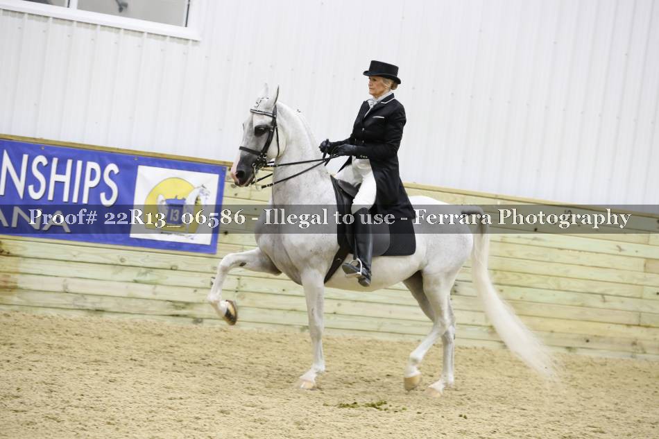 Proof 22R13_06586