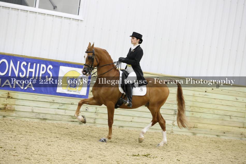 Proof 22R13_06587