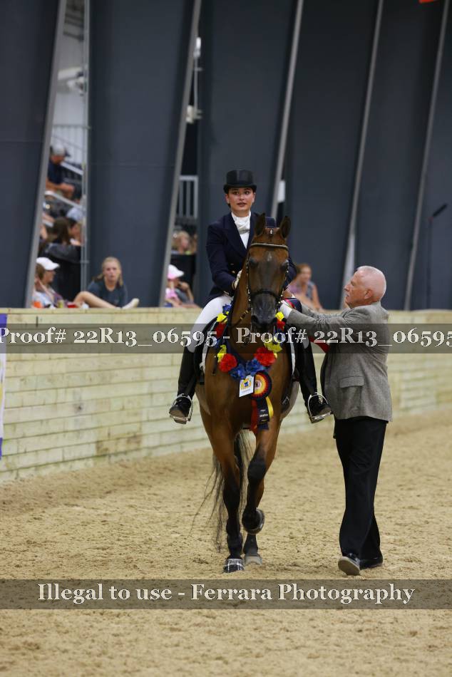 Proof 22R13_06595