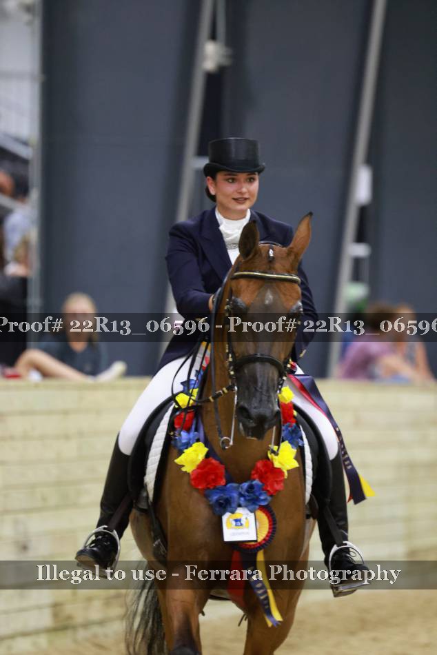 Proof 22R13_06596