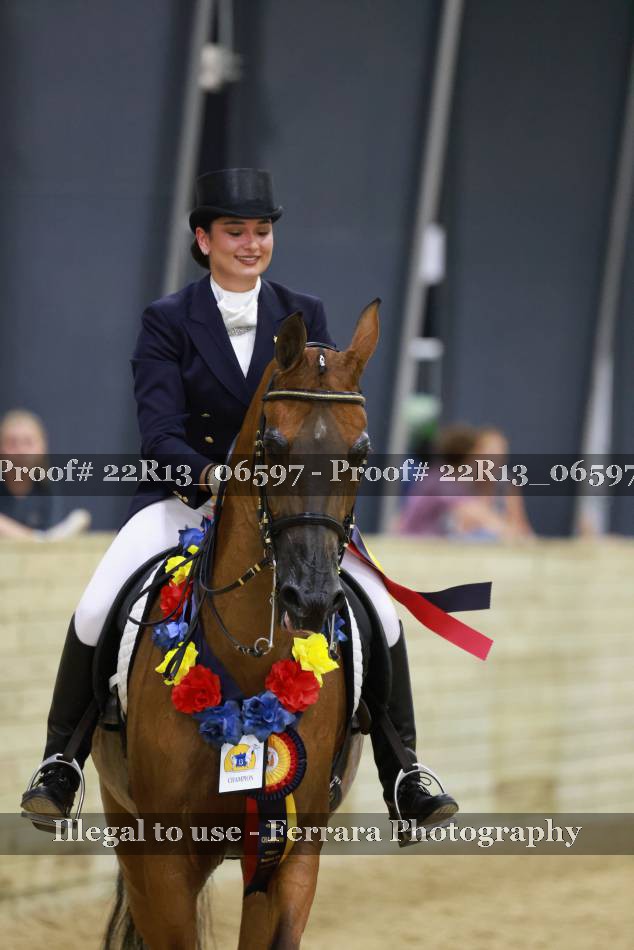 Proof 22R13_06597