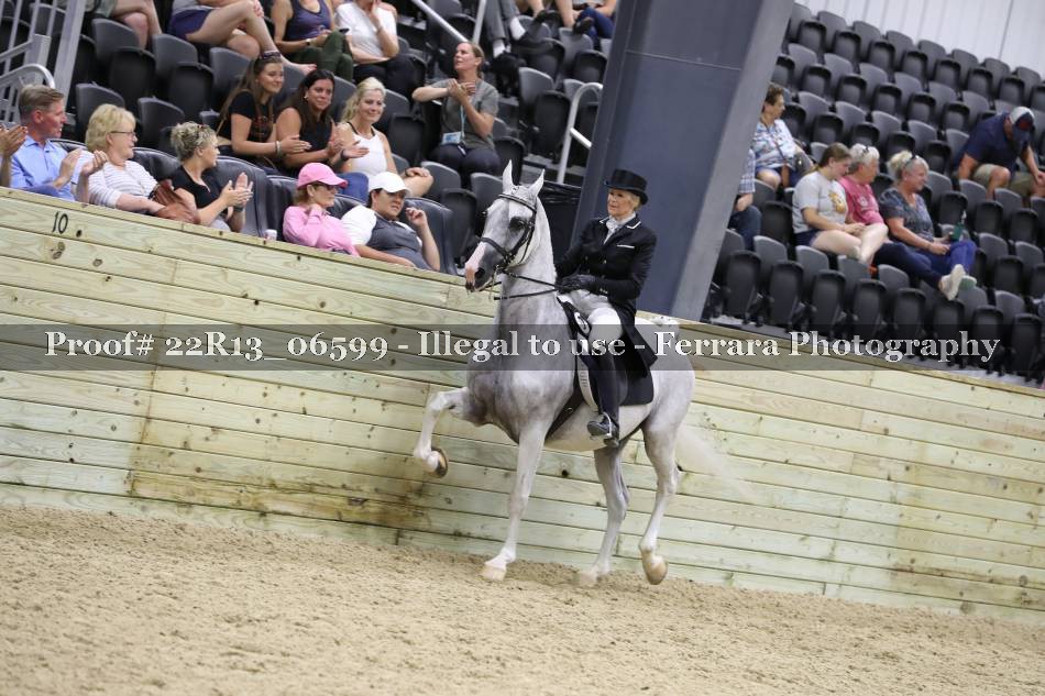 Proof 22R13_06599