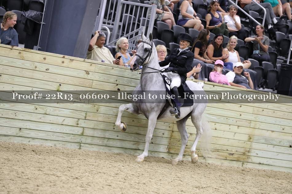 Proof 22R13_06600