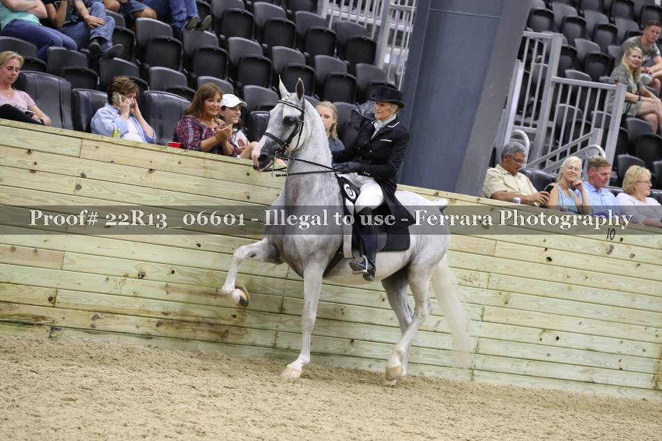 Proof 22R13_06601
