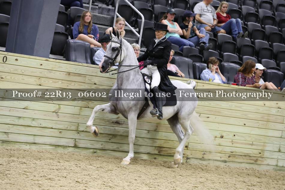 Proof 22R13_06602