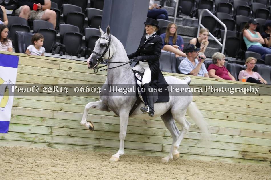 Proof 22R13_06603