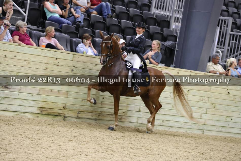 Proof 22R13_06604