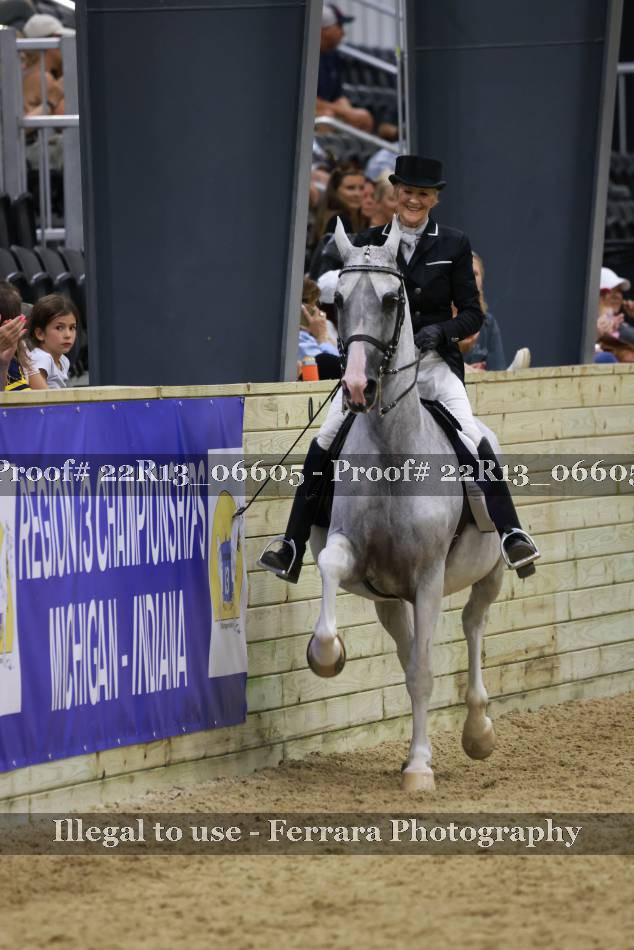 Proof 22R13_06605