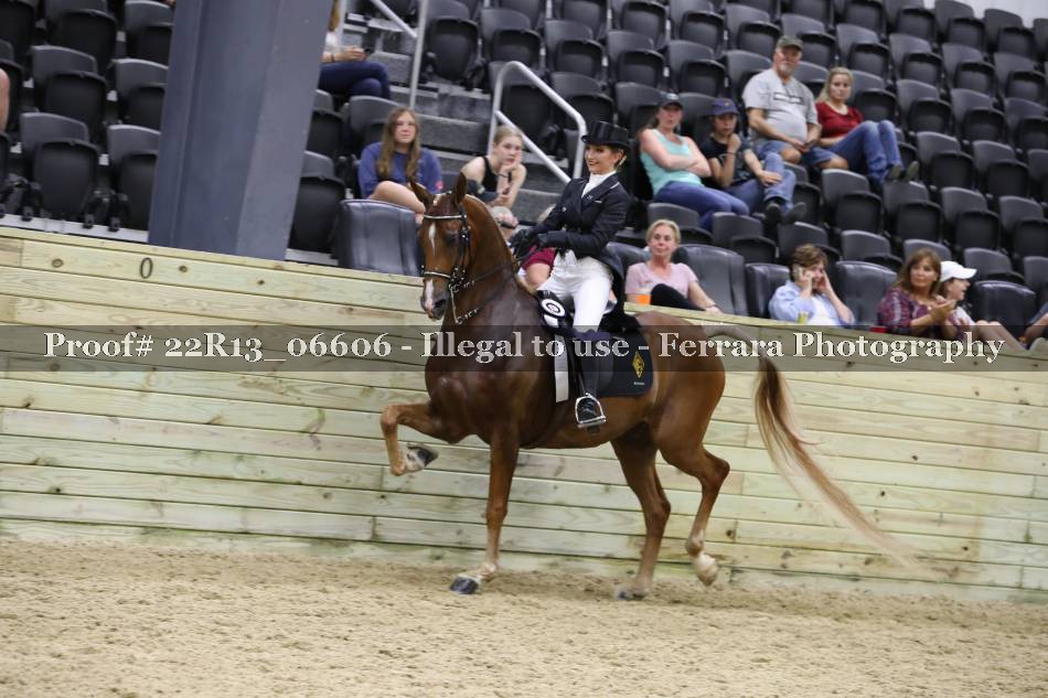 Proof 22R13_06606