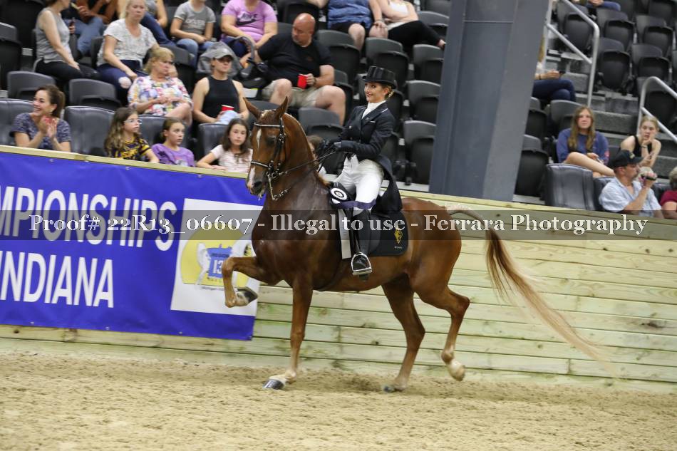 Proof 22R13_06607