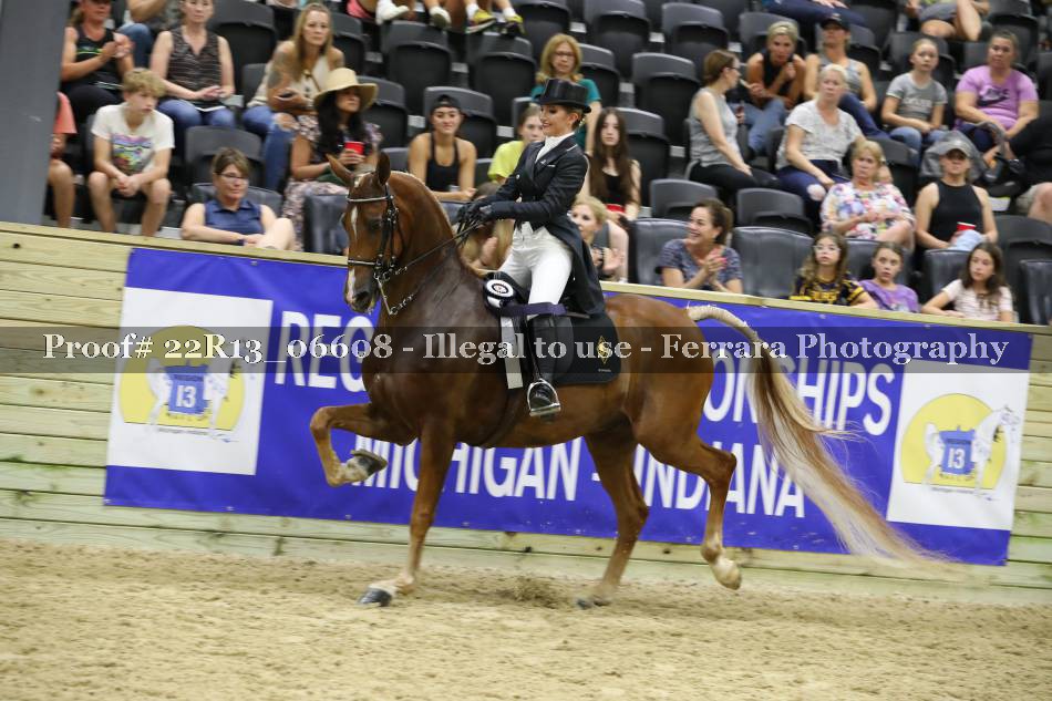 Proof 22R13_06608