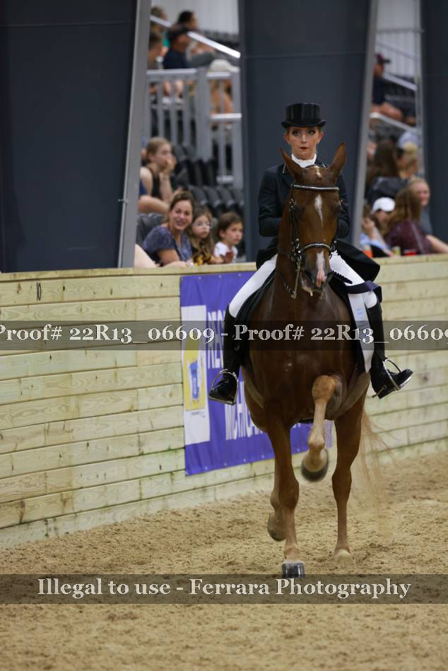 Proof 22R13_06609