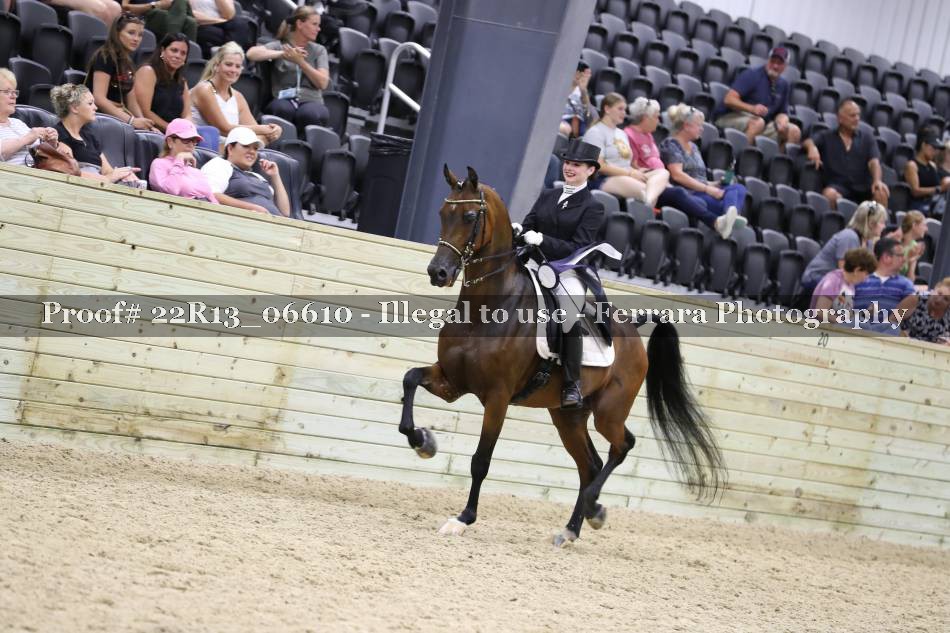 Proof 22R13_06610