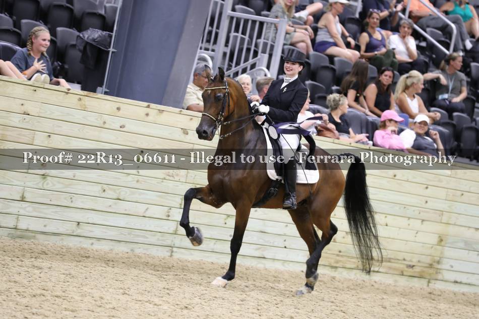 Proof 22R13_06611