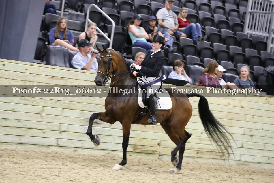 Proof 22R13_06612