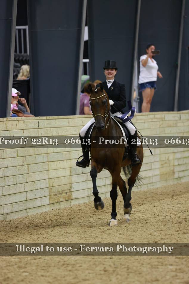 Proof 22R13_06613