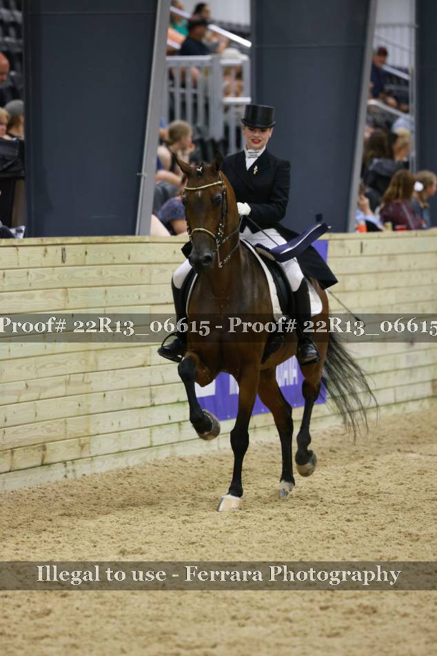Proof 22R13_06615