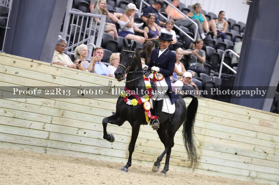 Proof 22R13_06616